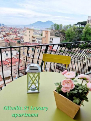 Olivella21 Vesuvio Napoli
